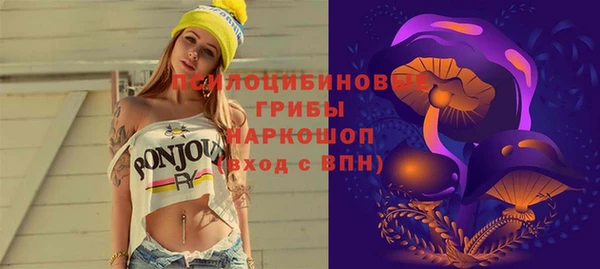 экстази Богородицк