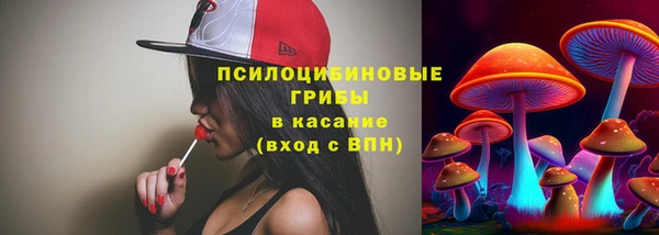 экстази Богородицк