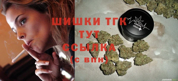 твердый Богданович
