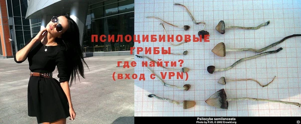 амф Краснотурьинск