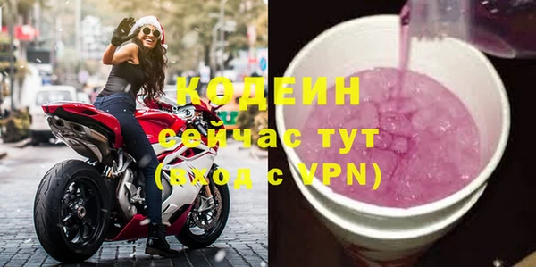 твердый Богданович