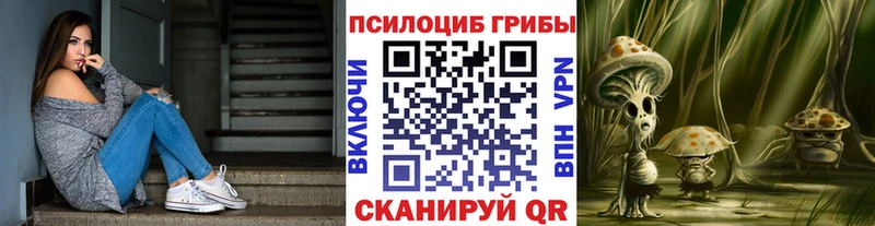 Псилоцибиновые грибы Cubensis  как найти наркотики  Михайлов 