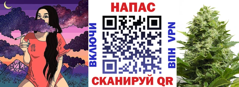 Шишки марихуана Amnesia  MEGA как зайти  Михайлов 